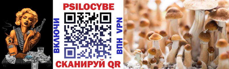 Галлюциногенные грибы Psilocybe  Серпухов 