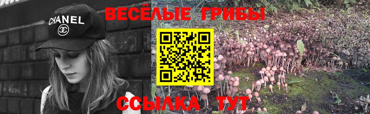 Псилоцибиновые грибы прущие грибы  Вход с VPN  Серпухов  Галлюциногенные грибы Cubensis 