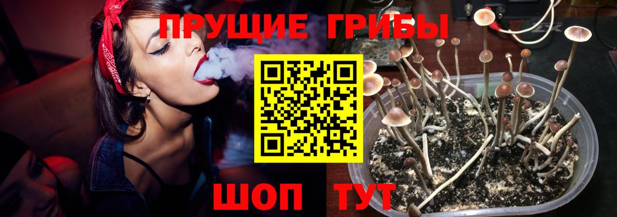 Галлюциногенные грибы Magic Shrooms Серпухов